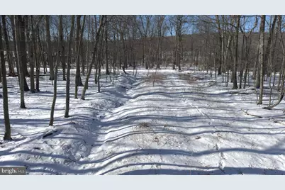 00 Hemlock Road, Bear Creek Township, PA 18702 - Photo 8