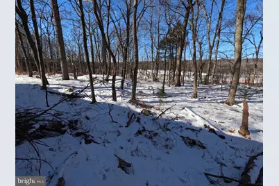 00 Hemlock Road, Bear Creek Township, PA 18702 - Photo 16