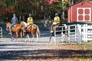 968 Scots Pne Ln, Hazle Township, PA 18202 - Photo 90