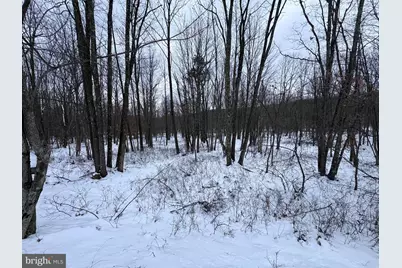 230 Elderberry Lane, Hazleton, PA 18202 - Photo 8