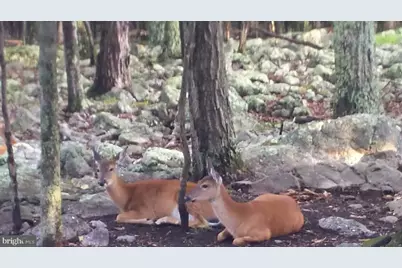 18 Sugarloaf Lane, Hazleton, PA 18202 - Photo 76