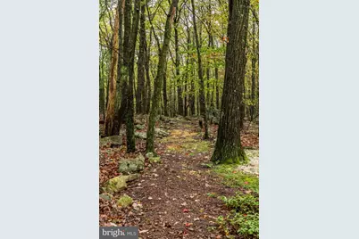 201 Skyline Drive, Hazle Township, PA 18202 - Photo 22