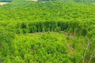 210 White Mountain Ln, Sugarloaf, PA 18249 - Photo 26
