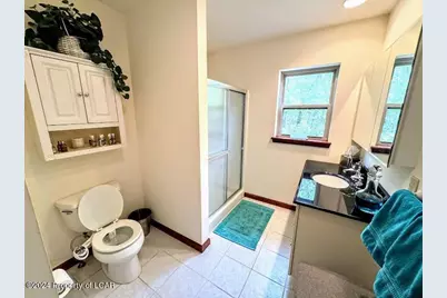 228 Pine Valley Lane, Hazle Township, PA 18202 - Photo 14