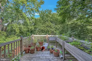 173 Chestnut St, Warrior Run, PA 18706 - Photo 40