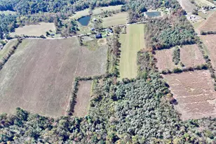 316 Old County Rd, Benton, PA 17814 - Photo 14