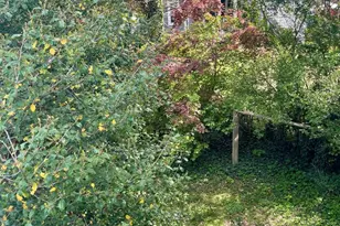 119 Robbins Ave, Jenkintown, PA 19046 - Photo 54