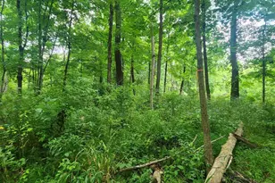 15 Gerloff Rd, Schwenksville, PA 19473 - Photo 80