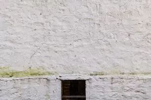 117 Arden Rd, Conshohocken, PA 19428 - Photo 60