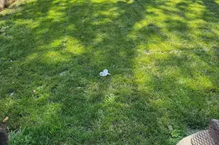 122 Old Soldiers Rd, Cheltenham, PA 19012 - Photo 66