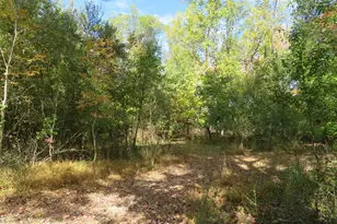 506 Kane Dr, Ambler, PA 19002 - Photo 42