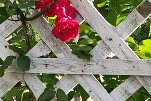 1100 Cressman Rd, Schwenksville, PA 19473 - Photo 68