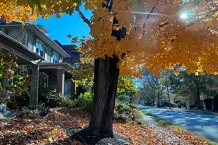 106 Montgomery Ave, Erdenheim, PA 19038 - Photo 44