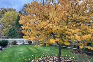 106 Montgomery Ave, Erdenheim, PA 19038 - Photo 48