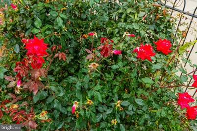 32 E Elm Street, Norristown, PA 19401 - Photo 52