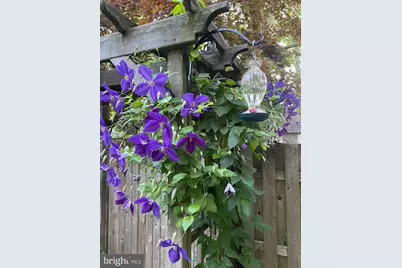 124 Grandview Road, Ardmore, PA 19003 - Photo 12