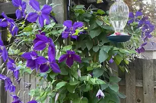 124 Grandview Rd, Ardmore, PA 19003 - Photo 58