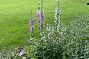 630 Washington Ln, Jenkintown, PA 19046 - Photo 90