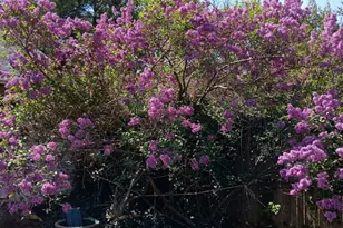 1642 Locust St, Norristown, PA 19401 - Photo 26