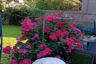 1642 Locust St, Norristown, PA 19401 - Photo 28