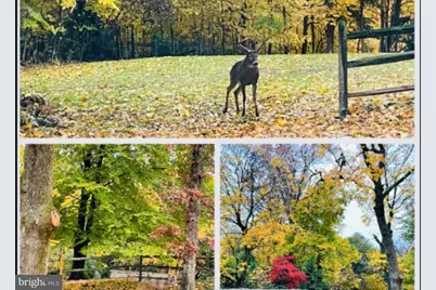 919 Laburnum Lane, Wyncote, PA 19095 - Photo 2