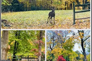 919 Laburnum Ln, Wyncote, PA 19095 - Photo 2