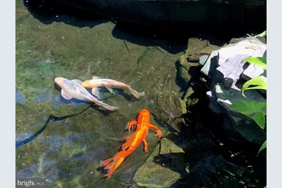 400 Highview Drive, Wayne, PA 19087 - Photo 4