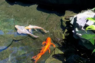 400 Highview Dr, Wayne, PA 19087 - Photo 4