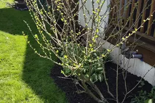 208 E Broad St, Souderton, PA 18964 - Photo 36