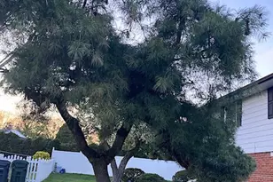 1180 Ballytore Rd, Huntingdon Valley, PA 19006 - Photo 30