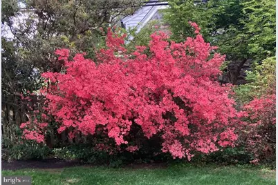 1039 Wellington Road, Jenkintown, PA 19046 - Photo 48