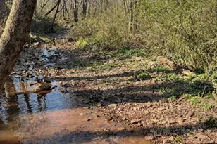 1520 Susan Dr, Lansdale, PA 19446 - Photo 40