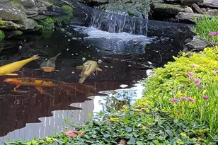 992 Sheffield Ln, Huntingdon Valley, PA 19006 - Photo 28