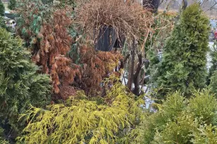 2008 Whitpain Hills, Blue Bell, PA 19422 - Photo 116