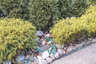 2008 Whitpain Hills, Blue Bell, PA 19422 - Photo 114