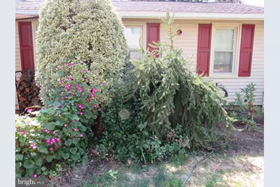 1105 Wilson Street, Pottstown, PA 19464 - Photo 68