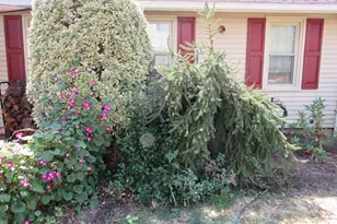 1105 Wilson St, Pottstown, PA 19464 - Photo 68