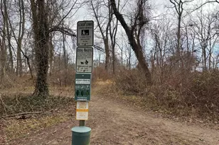 1354 Arbordale Rd, Wynnewood, PA 19096 - Photo 54