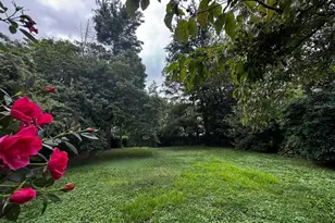 8004 Gladstone Rd, Glenside, PA 19038 - Photo 58