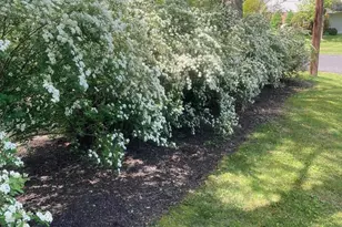 30 Hollow Rd, Telford, PA 18969 - Photo 36