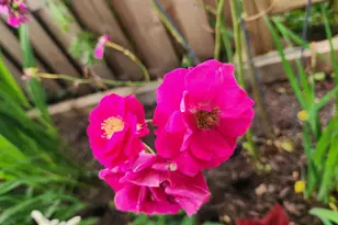 301 N 3rd St, Telford, PA 18969 - Photo 46