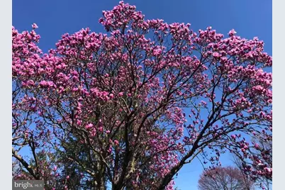 725 Springdell Road, King of Prussia, PA 19406 - Photo 28