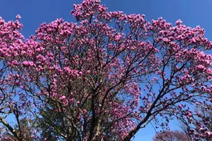 725 Springdell Rd, King of Prussia, PA 19406 - Photo 28