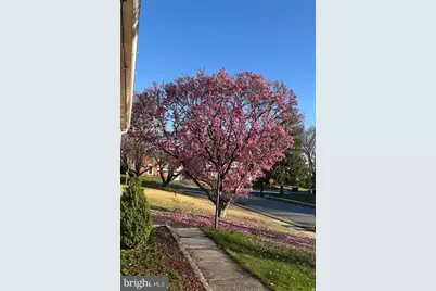 725 Springdell Road, King of Prussia, PA 19406 - Photo 26