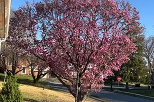 725 Springdell Rd, King of Prussia, PA 19406 - Photo 26