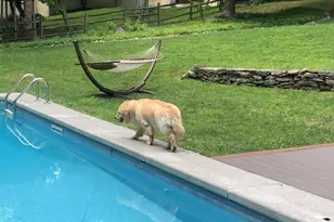 241 Cheswold Ln, Haverford, PA 19041 - Photo 48