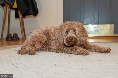 214 Kent Road, Ardmore, PA 19003 - Photo 82