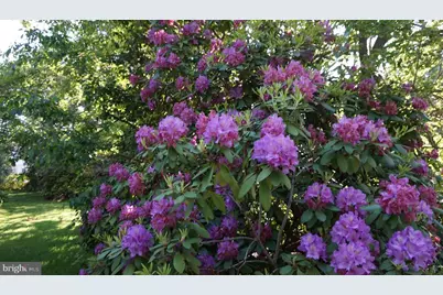 202 Elm Avenue, Cheltenham, PA 19012 - Photo 40