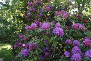 202 Elm Ave, Cheltenham, PA 19012 - Photo 40