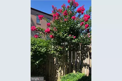 10 Llanfair Road #9, Ardmore, PA 19003 - Photo 16